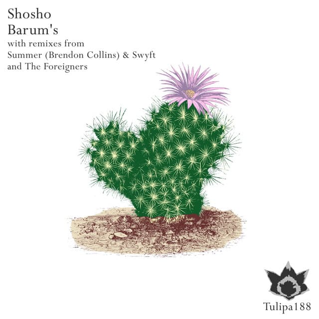 Barum's - Summer (Brendon Collins) & Swyft Remix cover art