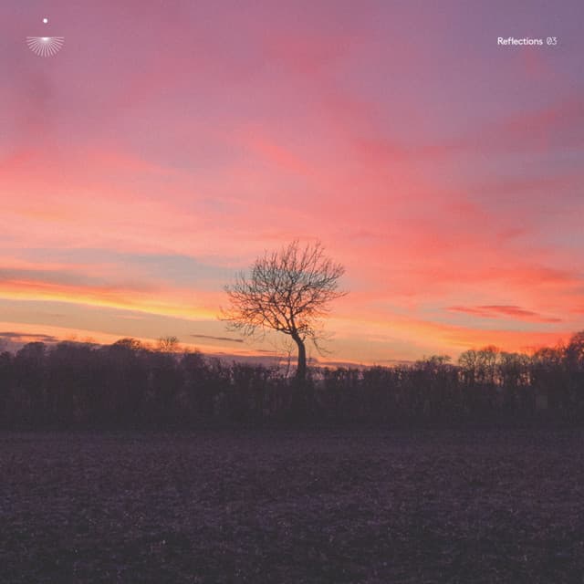 A Radiant Sign cover art