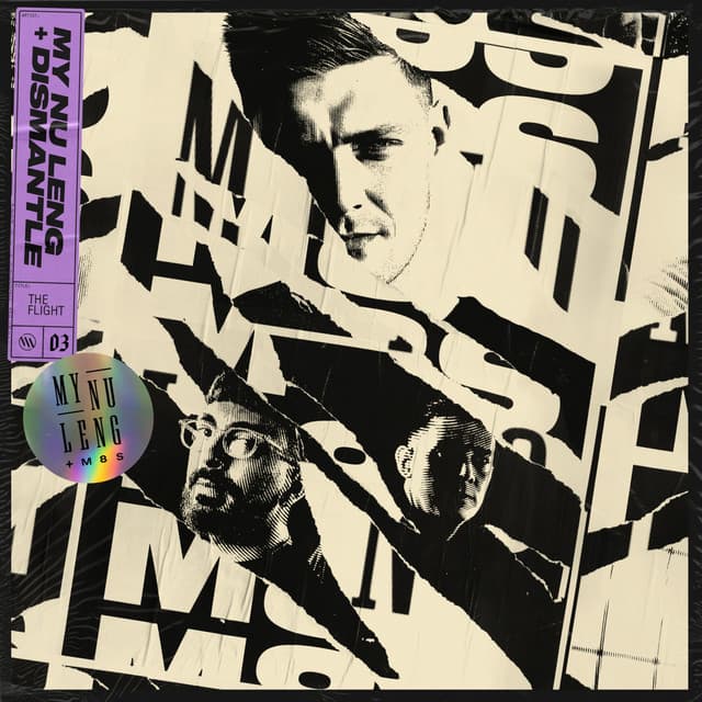 The Flight cover art