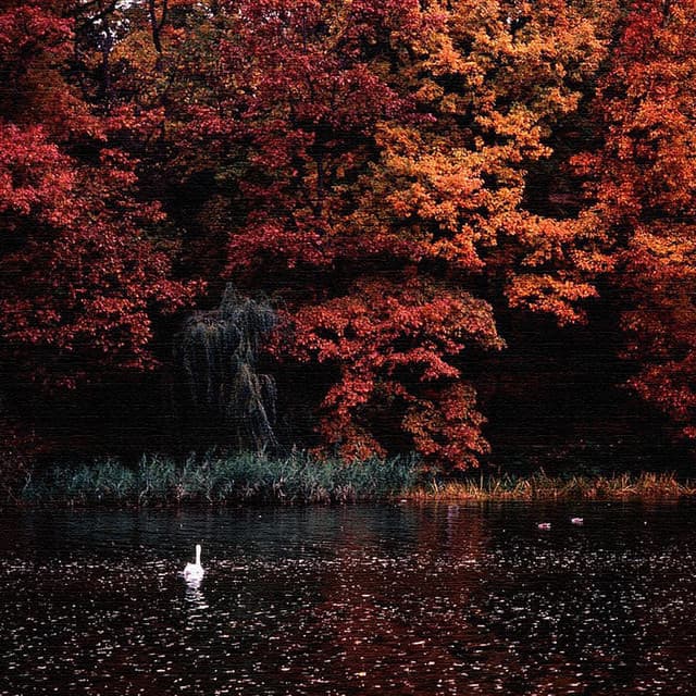 Otoño cover art