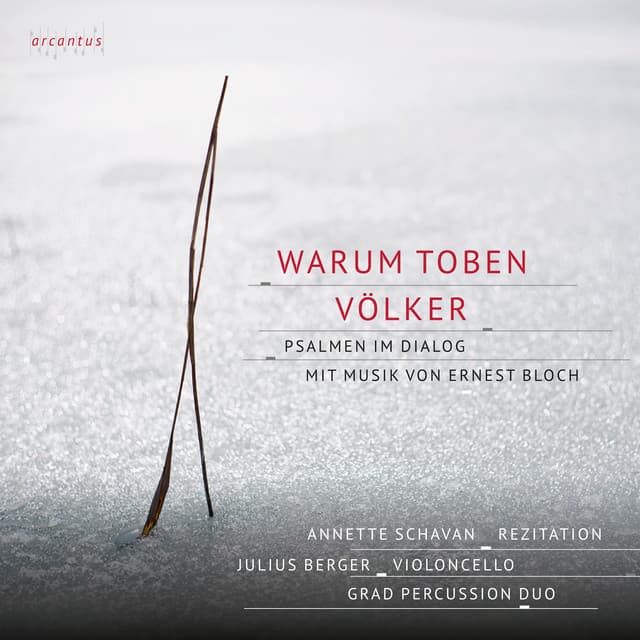 Warum toben die Völker cover art
