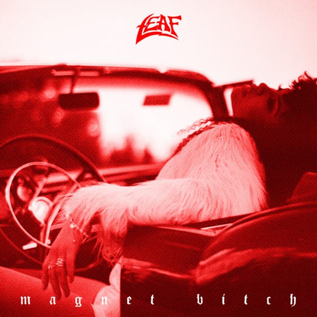 Magnet Bitch cover art