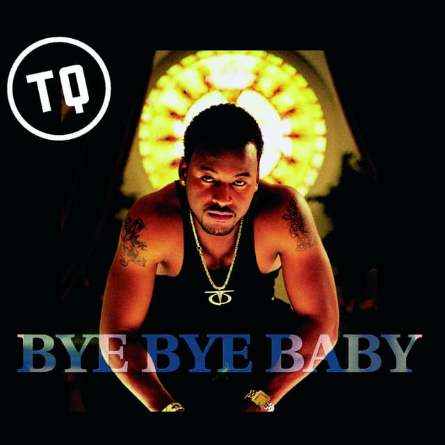 Bye Bye Baby cover art