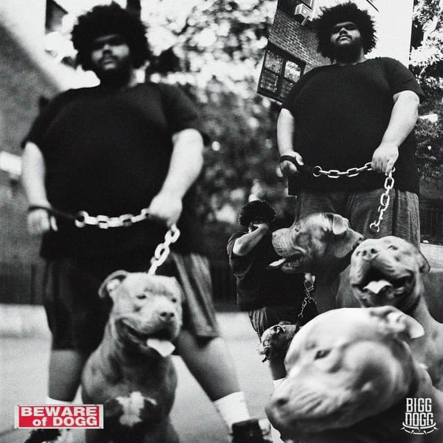 Trust The Process cover art