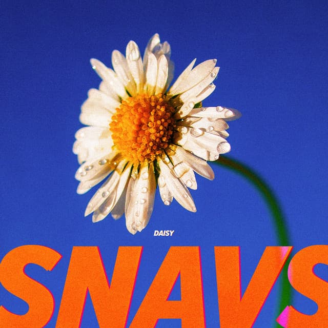 Lie cover art