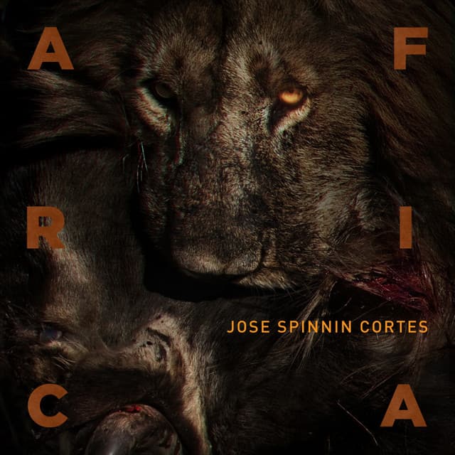 Africa - Original Mix cover art