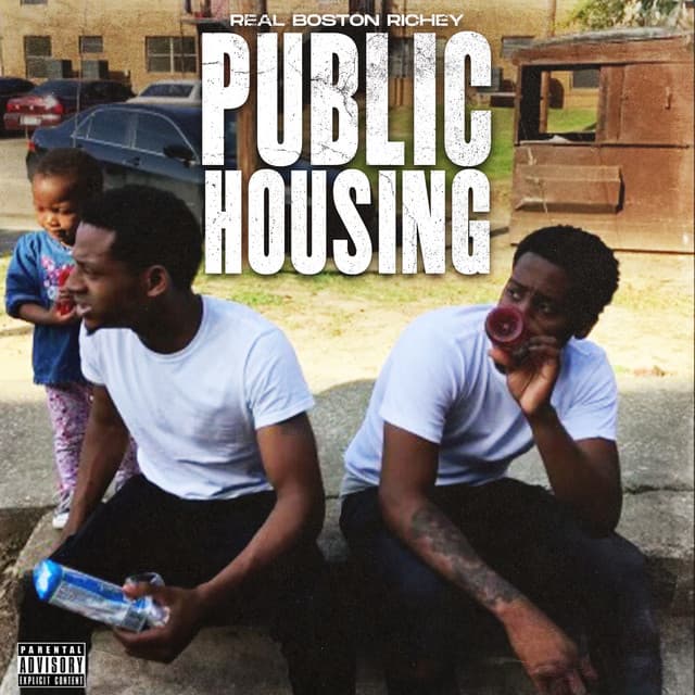 Public Housing cover art