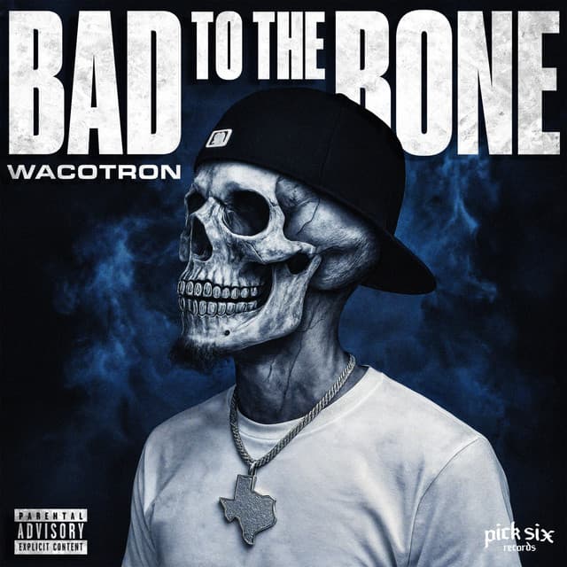 Bad To The Bone cover art