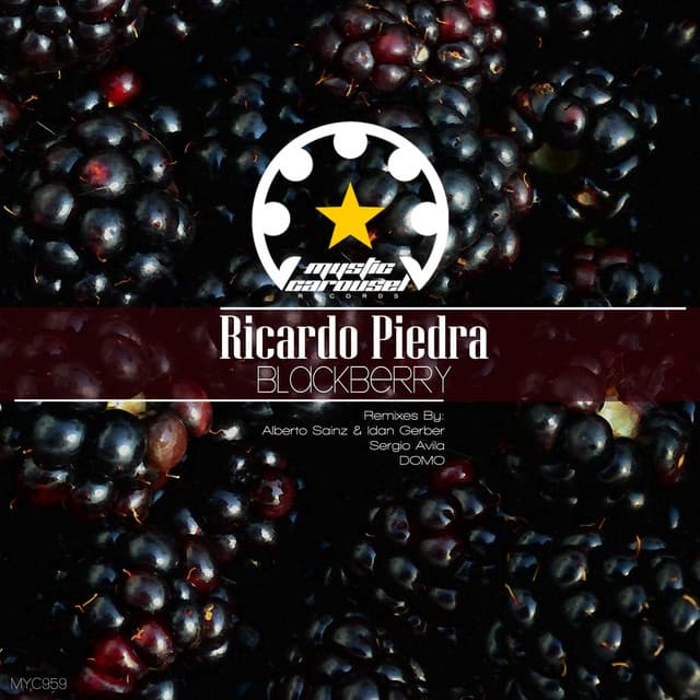 Blackberry - Sergio Avila Remix cover art