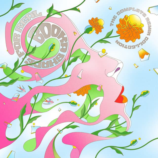Electric Birds - Sentre Extended Mix cover art