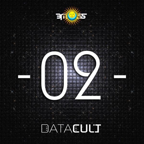 Perfect Static (Datacult Psychedelic Remix) cover art