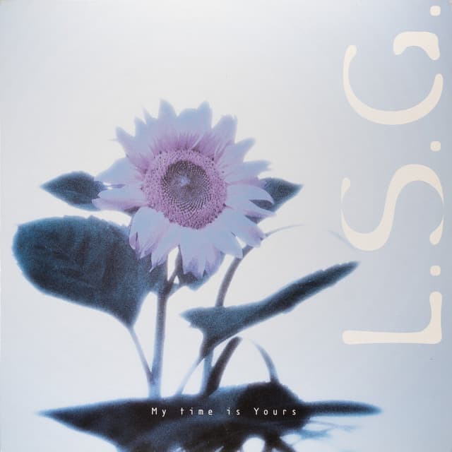 Enter-Paradise cover art