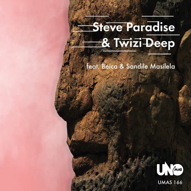 Steve Paradise Twizi Deep cover art