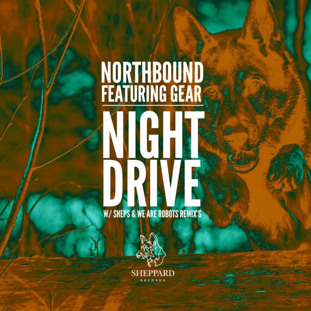 Night Drive - Extended Mix cover art