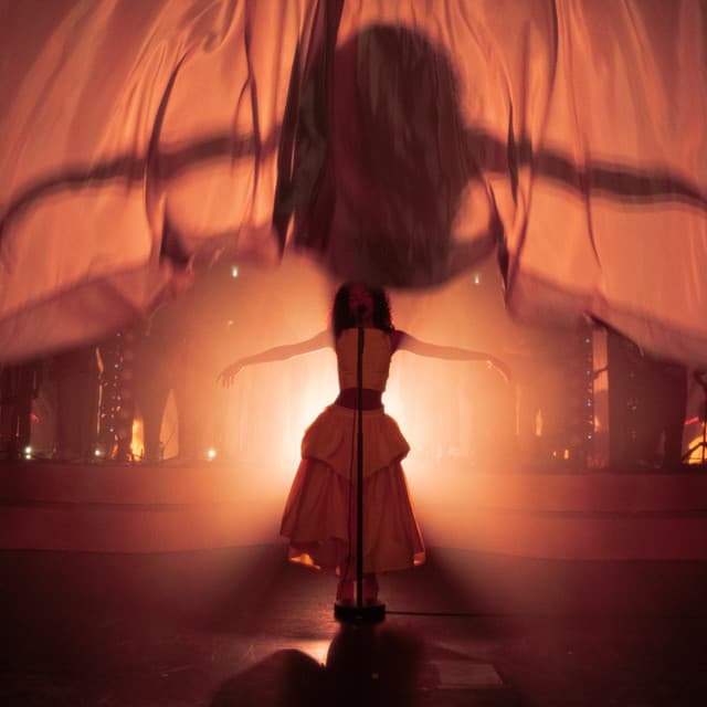 Touching Toes - Live At Eventim Apollo cover art