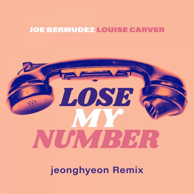 Lose My Number (jeonghyeon Remix) cover art