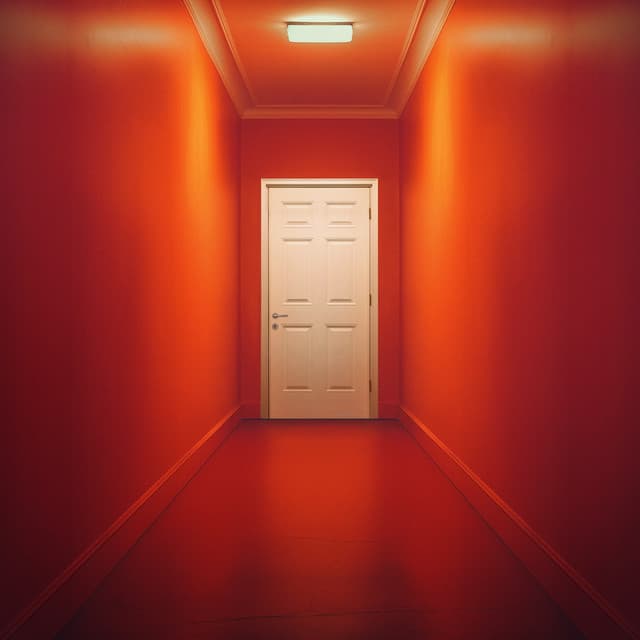 The Door cover art