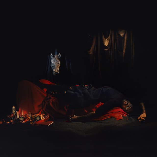 I Grow Tired But Dare Not Fall Asleep (Again) cover art