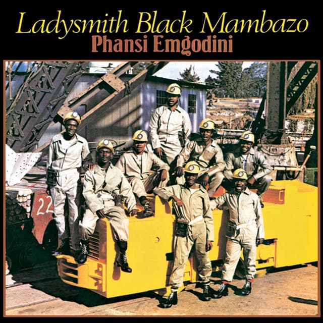 Nansi Indaba Sondelani cover art