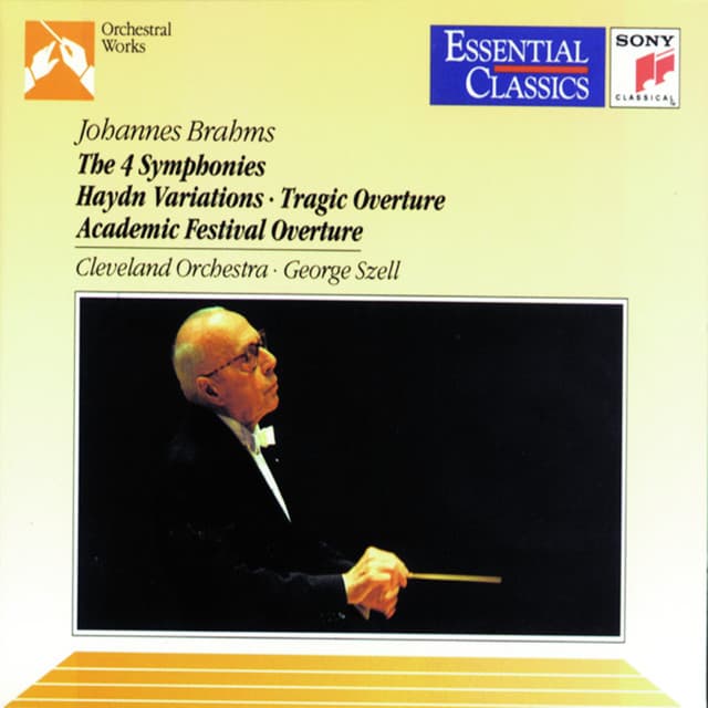 21 Hungarian Dances, WoO 1: No. 18 in D Major. Molto vivace cover art