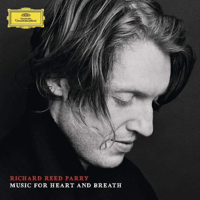 For Heart, Breath And Orchestra cover art