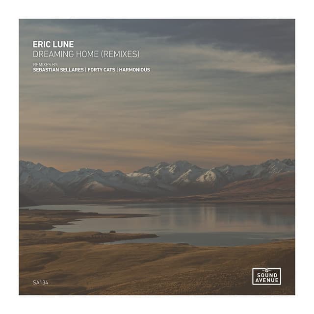 Dreaming Home - Sebastian Sellares Remix cover art