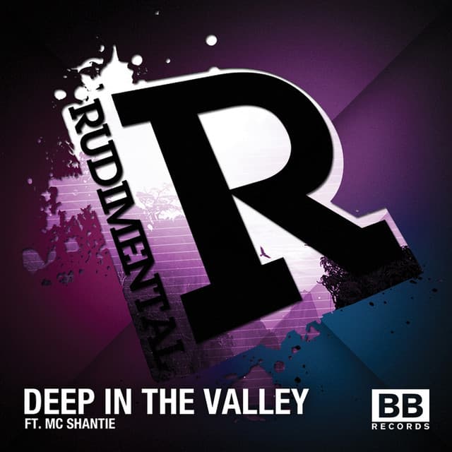 Deep in the Valley - House Mix cover art