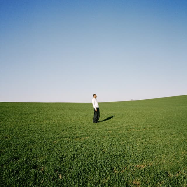 The Pine cover art
