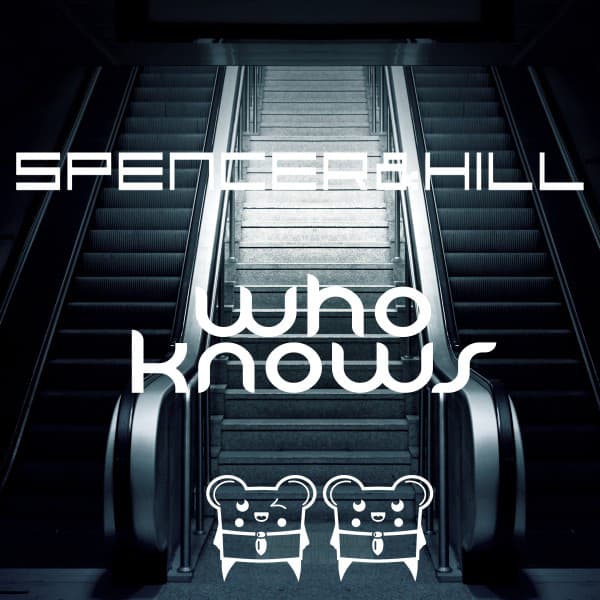 Who Knows - Sterbinszky Remix cover art
