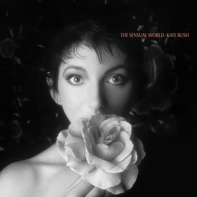 This Woman's Work - 2018 Remaster cover art
