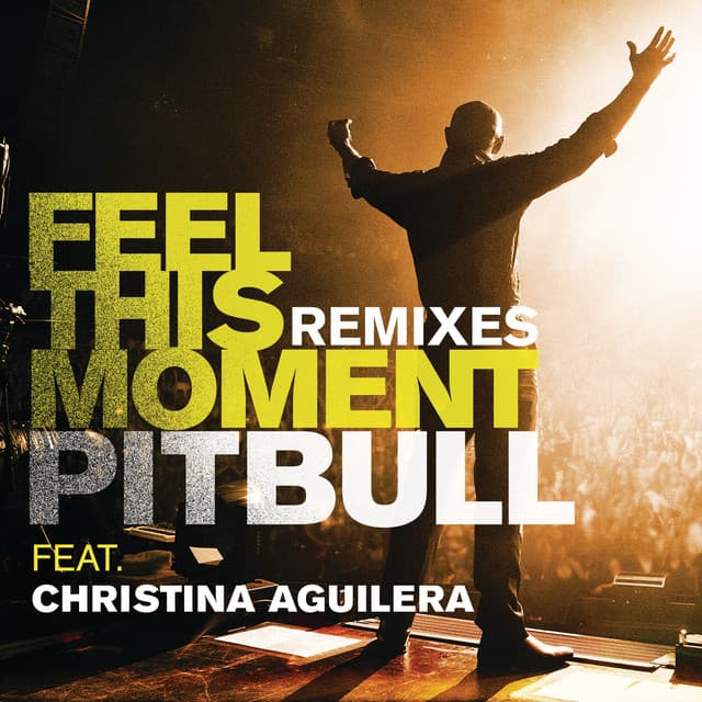 Feel This Moment (feat. Christina Aguilera) - Jump Smokers Radio Mix cover art