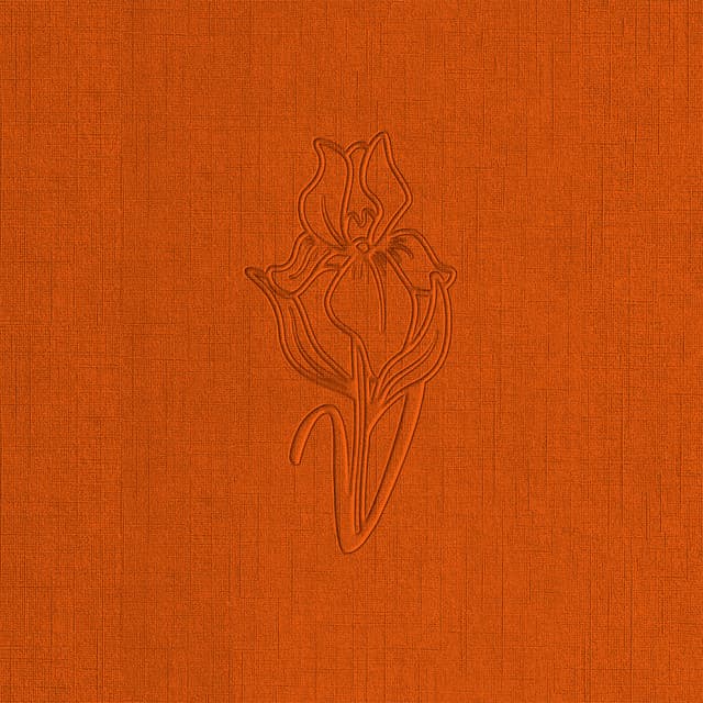UnLonely cover art