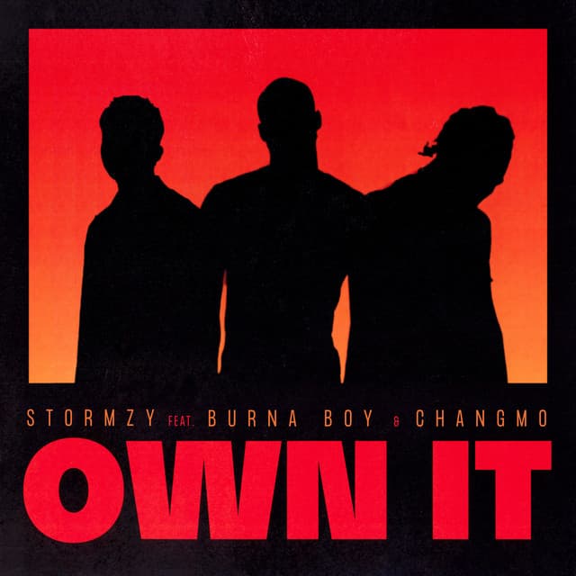 Own It (feat. Burna Boy & CHANGMO) cover art