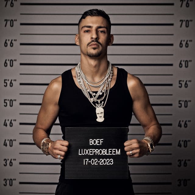 Probleem cover art