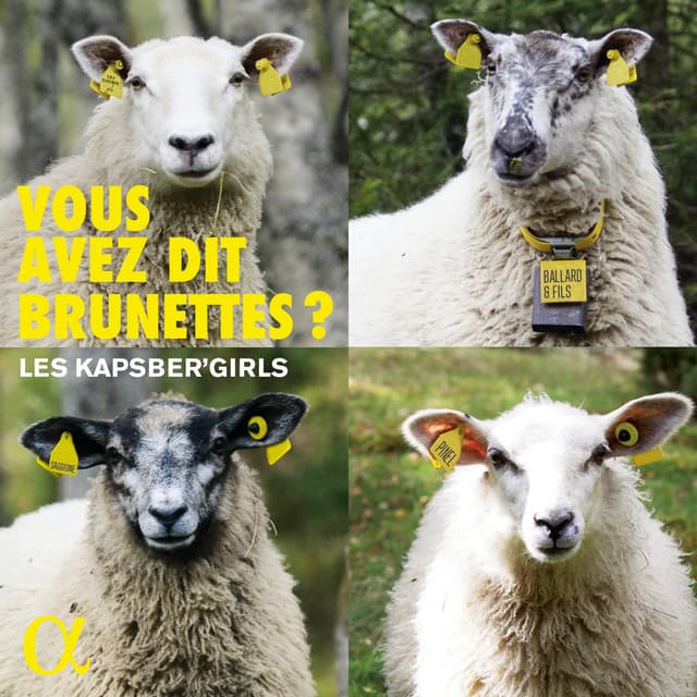 Vous avez dit Brunettes? cover art