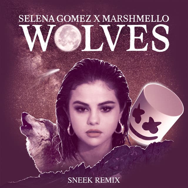 Wolves - Sneek Remix cover art