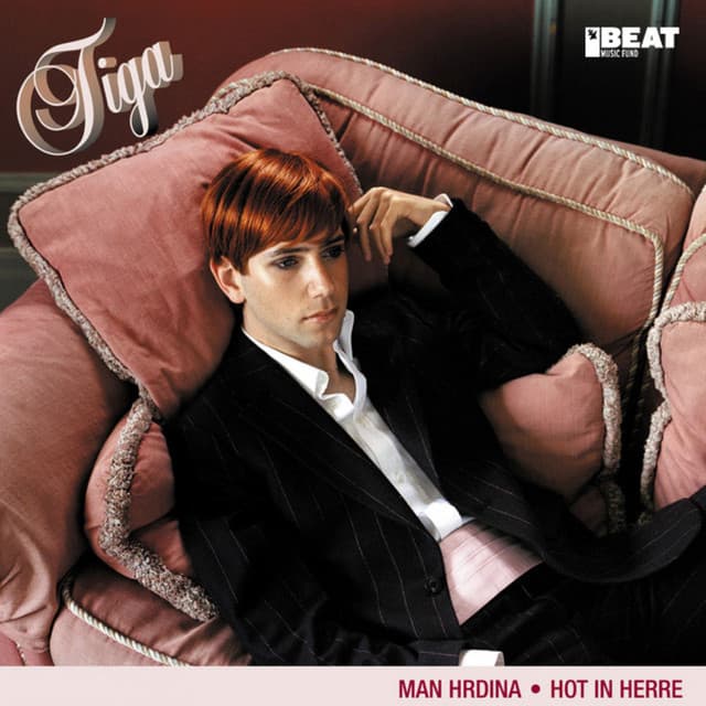 Hot in Herre - Radio Slave Re Edit cover art