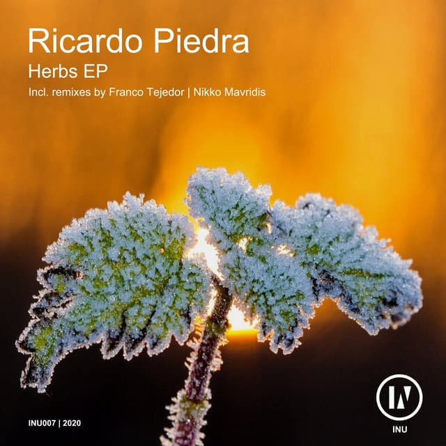 Herbs - Franco Tejedor Remix cover art