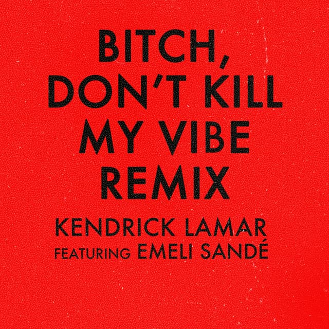 Bitch, Don’t Kill My Vibe - Remix cover art