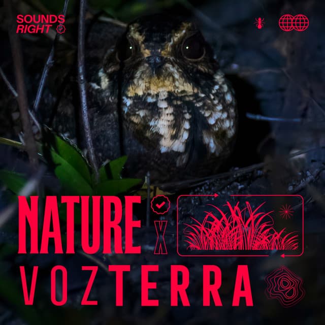 Colombian Late Night Nature cover art