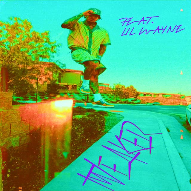 Tweaker (feat. Lil Wayne) - Remix cover art