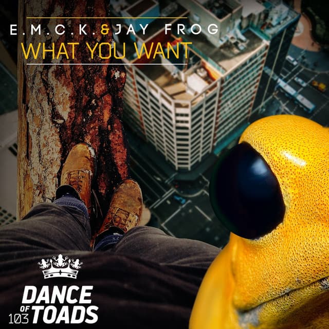 What You Want - 9th Style Edit cover art