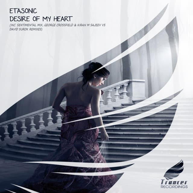 Desire Of My Heart - Kiran M Sajeev vs David Surok Remix cover art
