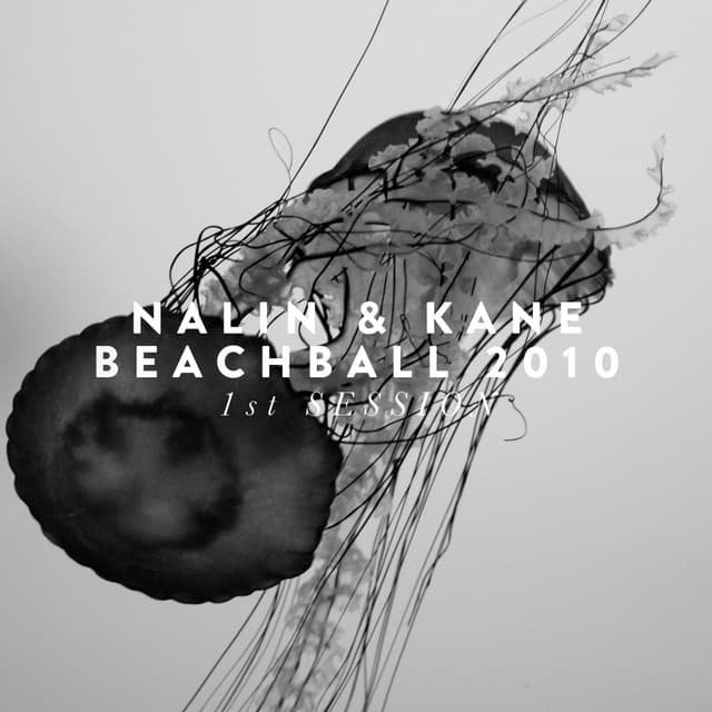 Beachball 2010 (1st Session) cover art