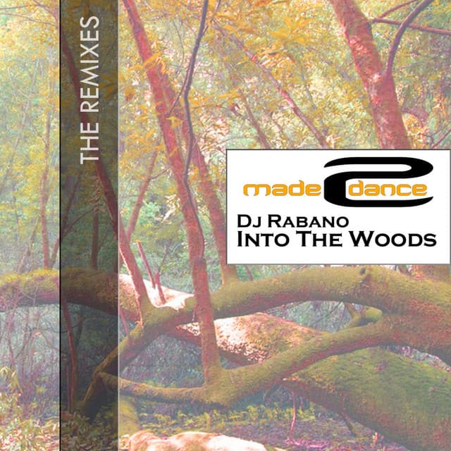 Into The Woods - Bass Robbers Remix cover art