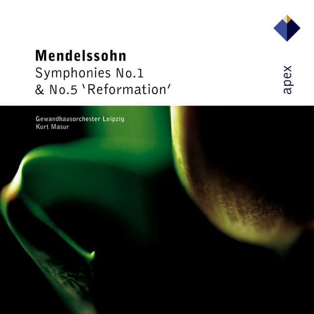 Mendelssohn: Symphony No. 5 in D Minor, Op. 107, MWV N15 "Reformation": I. Andante - Allegro con fuoco cover art
