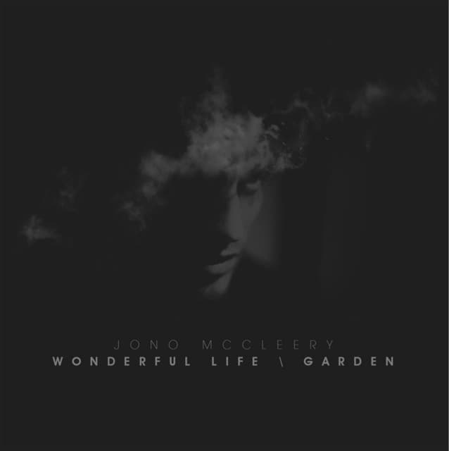 Wonderful Life cover art