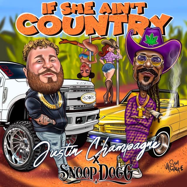 If She Ain't Country - Remix cover art