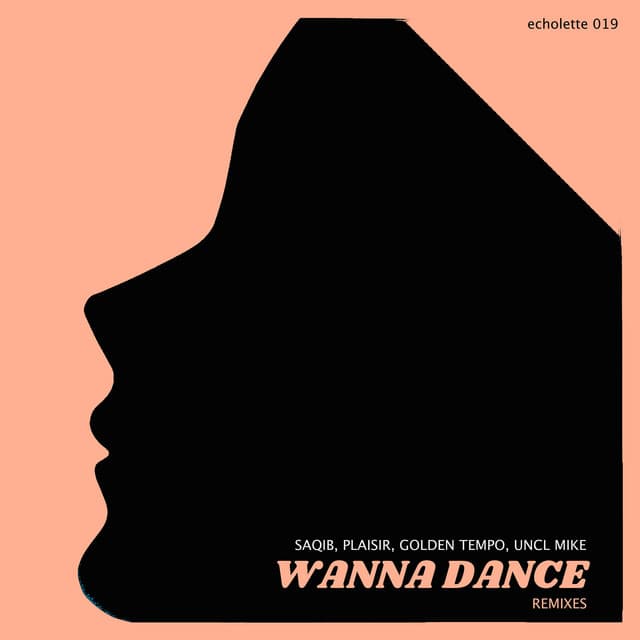 Wanna Dance - Plaisir Remix cover art