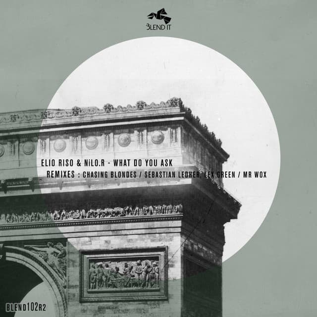What Do You Ask - Sebastian Ledher & Lex Green Remix cover art